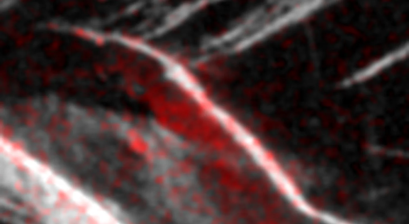 Sentinel-1 radar change detection showing the probable detachment zone of the 2026 Bhote Koshi ice-rock avalanche as a red band of new surface change at 5,800 metres