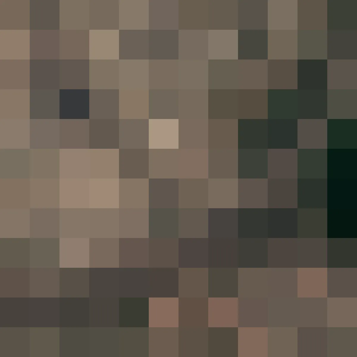 The same area at 30 m, the Landsat scale: a 12 by 12 grid of colour