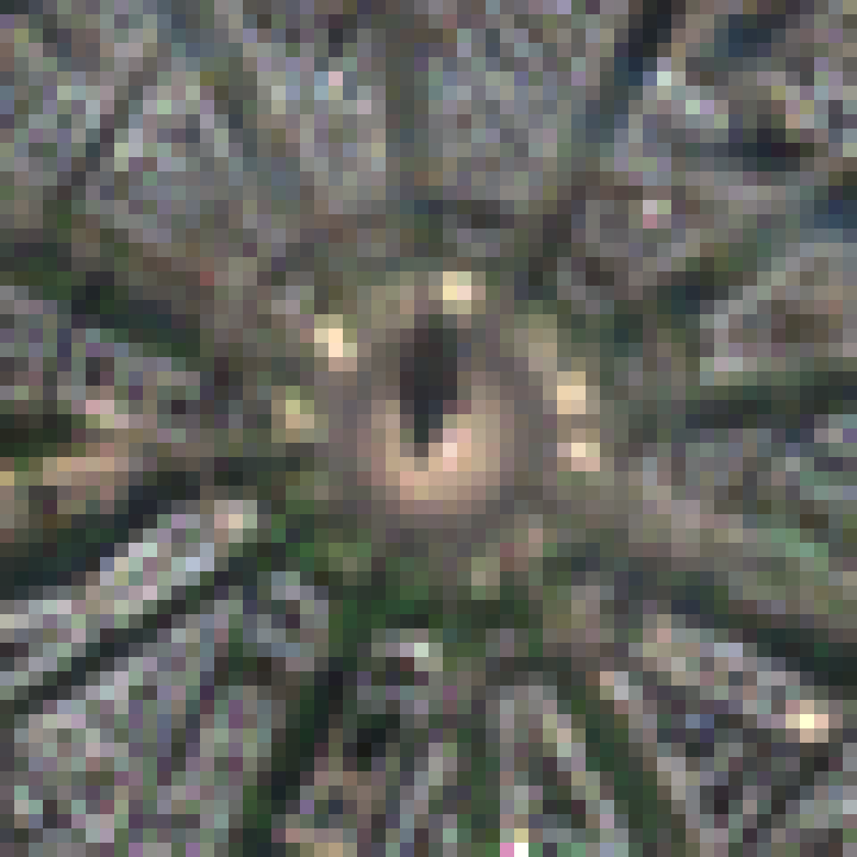 Image Sentinel-2 à 10 m de la place Charles-de-Gaulle à Paris, le 4 octobre 2026 : l'étoile des avenues se devine, les bâtiments restent flous