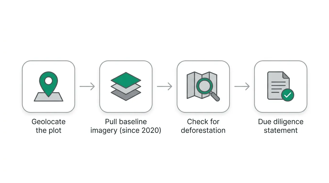 Four-step EUDR compliance workflow diagram: geolocate the plot, pull baseline imagery since 2020, check for deforestation, produce a due diligence statement