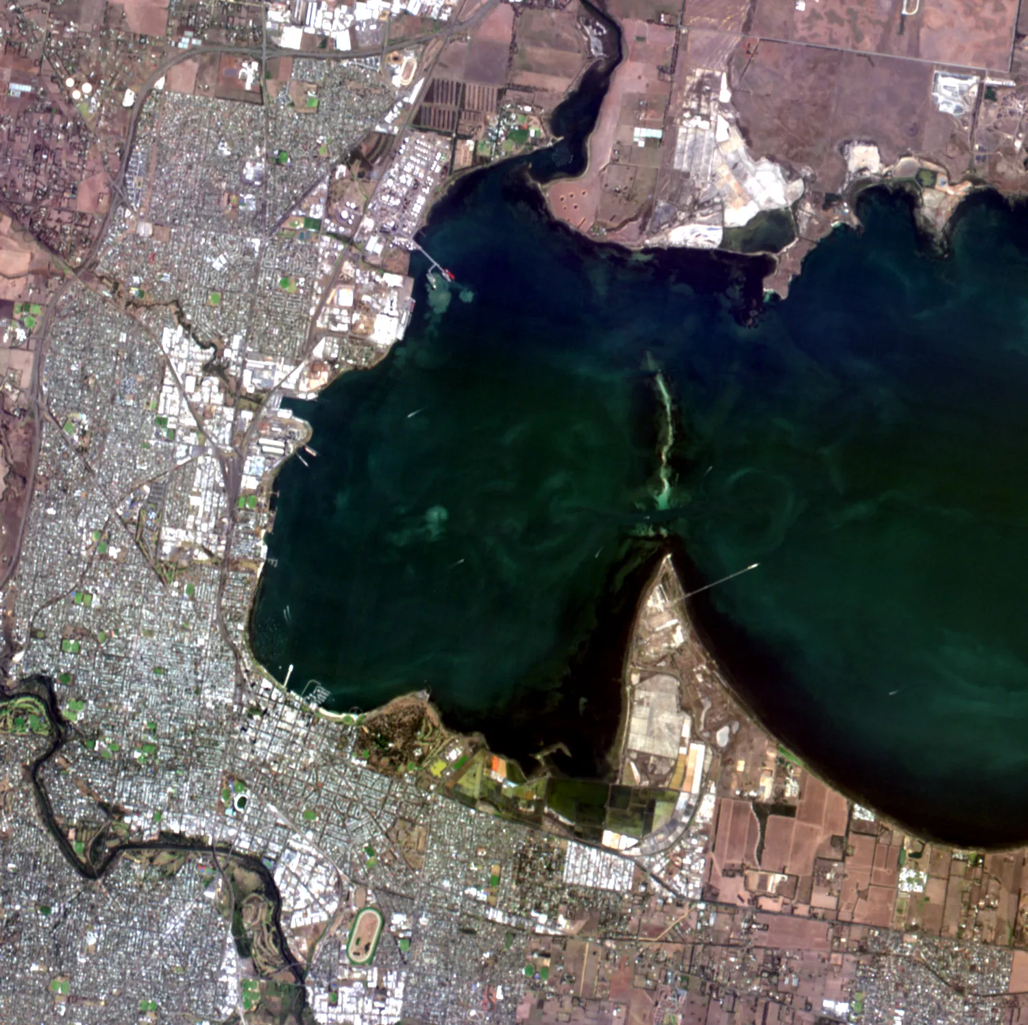 Natural colour hyperspectral satellite imagery of Geelong and Corio Bay from Wyvern Dragonette-003, built from the 650, 550 and 480 nm bands