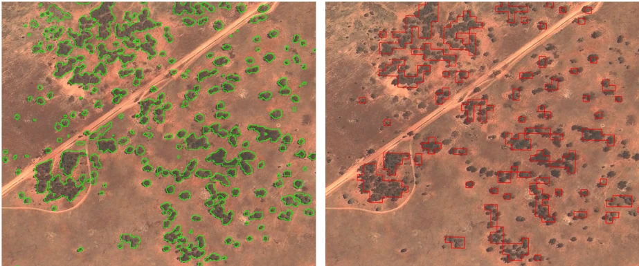 Scaling Carbon Stock Assessment by Leveraging High-Resolution Satellite Imagery