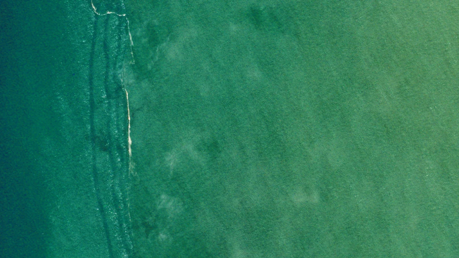 The edge of the Waikato River's sediment plume off Port Waikato, New Zealand: clear blue water on the left, a line of surf, and green sediment-laden water on the right.