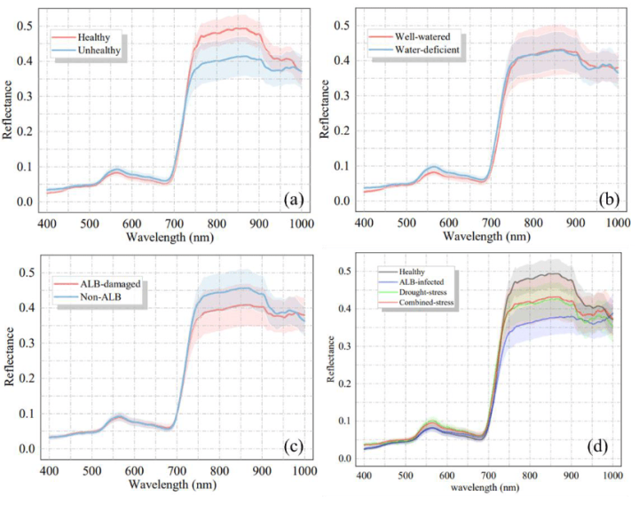 Mean spectral reflectance of poplars under different stressors