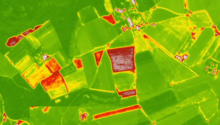 Visualization of Red Edge spectral data for vegetation analysis