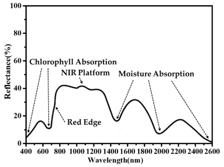 Approximate reflectance spectrum of green plants showing the red edge band